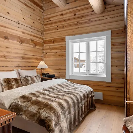 Fa25- Spacious Chalet With Sauna And Close To Pist トリシル